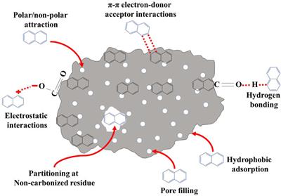 Adsorptive Removal of Atrazine From Contaminated Water Using Low-Cost Carbonaceous Materials: A Review